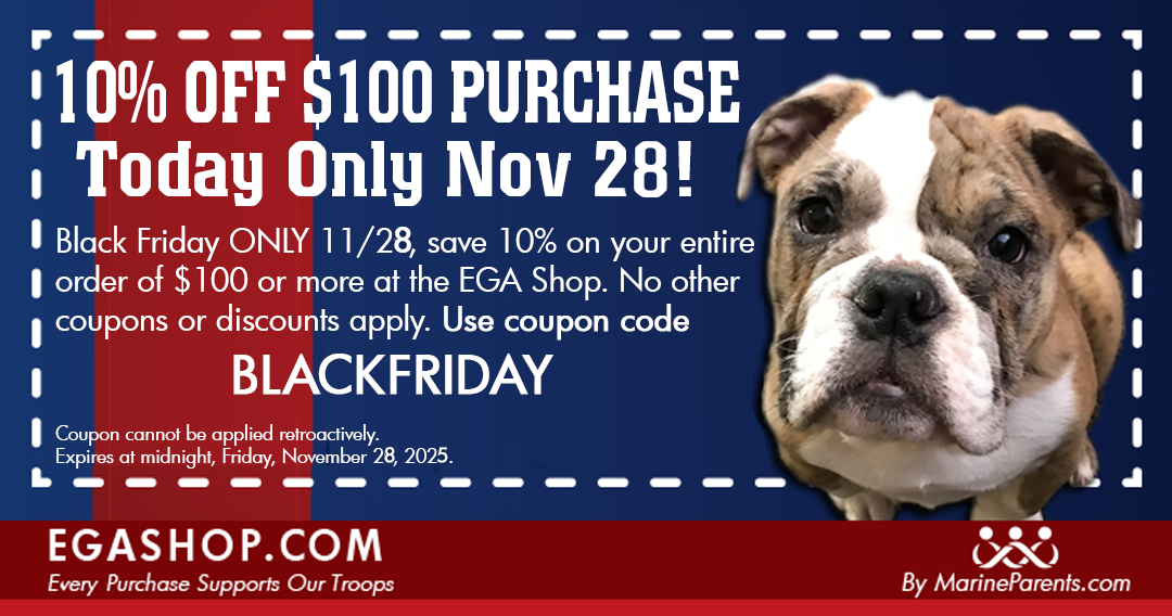 10% OFF $100 Order! BLACK FRIDAY ONLY