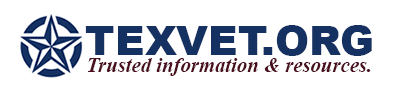 Texas Center Point Veterans Services